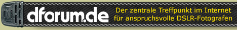 Link auf www.dforum.de